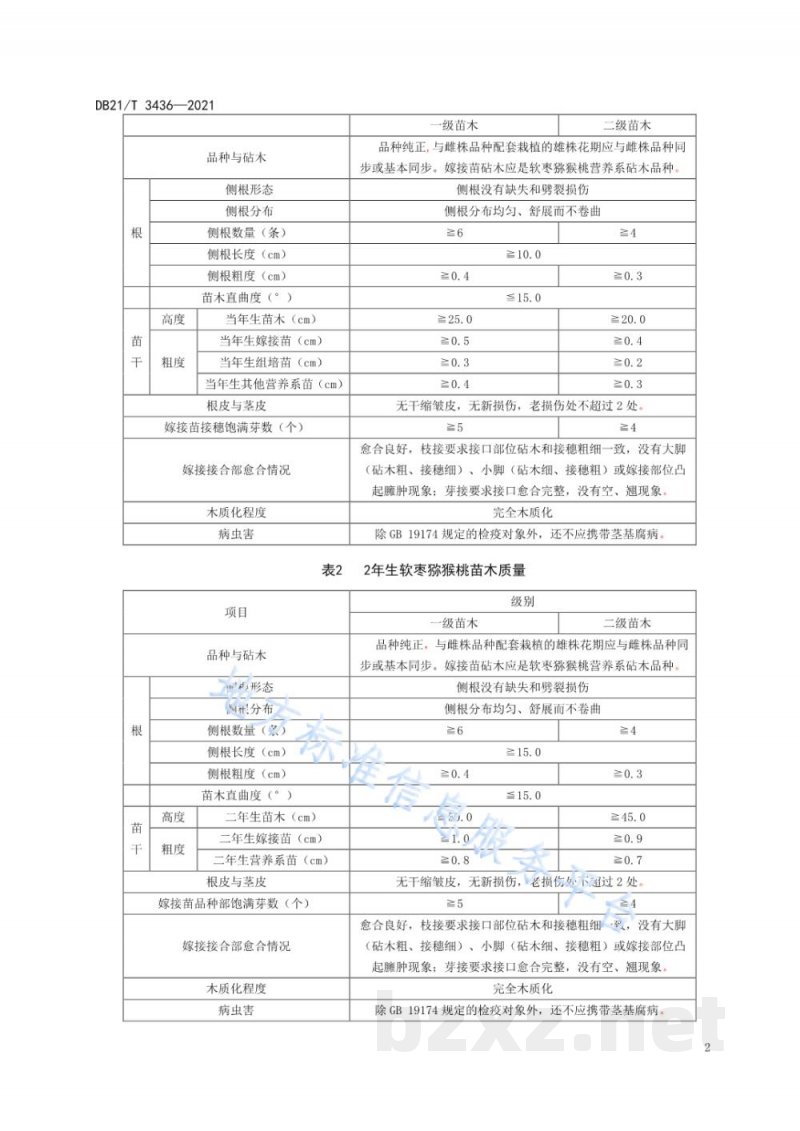 DB21/T 3436-2021软枣猕猴桃苗木