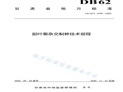 DB62/T 4249-2020甜叶菊杂交制种技术规程