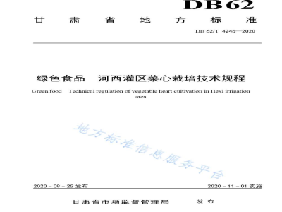 DB62/T 4246-2020绿色食品 河西灌区菜心栽培技术规程