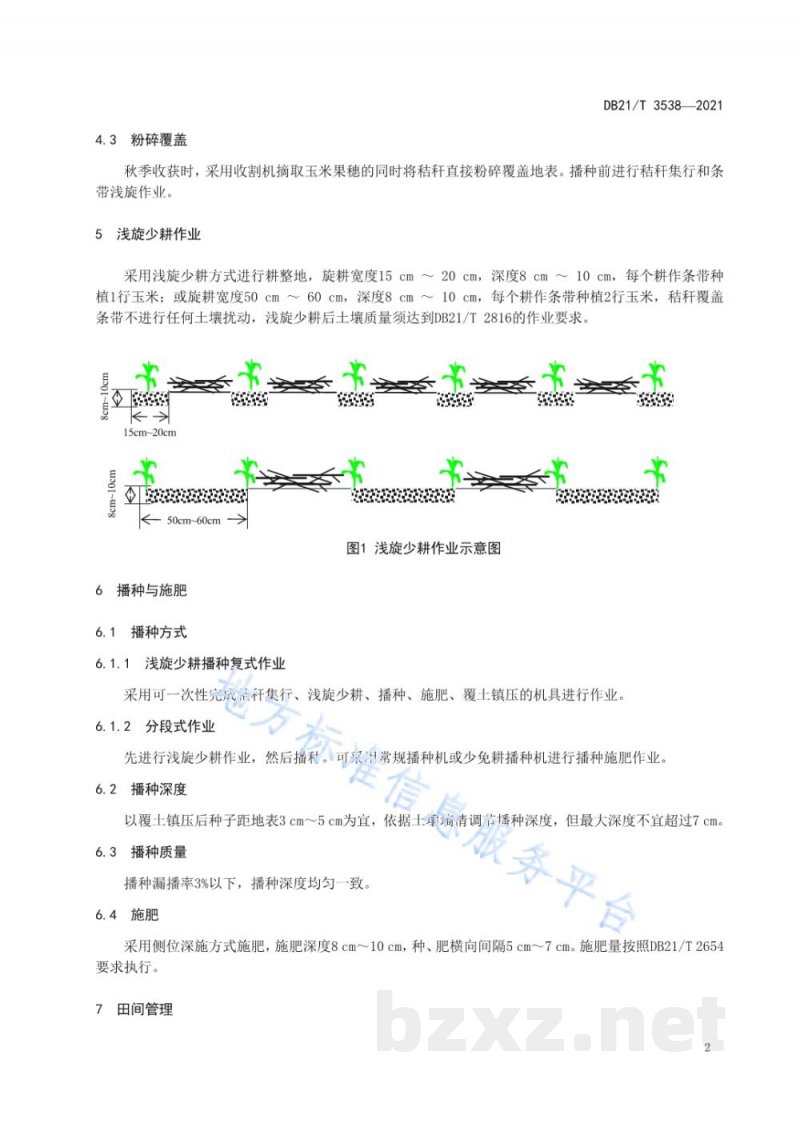 DB21/T 3538-2021旱地玉米保护性耕作浅旋少耕技术规程 DB21/T 3538-2021旱地玉米保护性耕作浅旋少耕技术规程