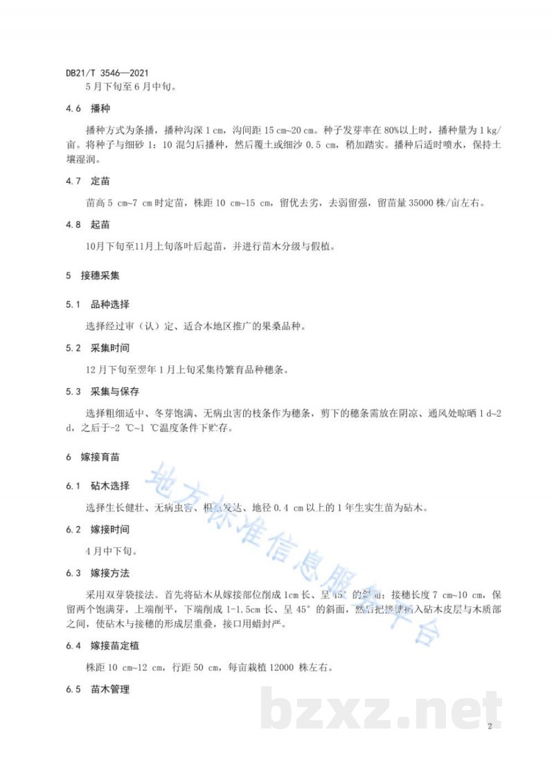 DB21/T 3546-2021果桑沙地栽培技术规程 DB21/T 3546-2021果桑沙地栽培技术规程