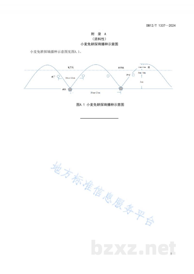 DB12/T 1337-2024小麦免耕探墒播种技术规程 DB12/T 1337-2024小麦免耕探墒播种技术规程