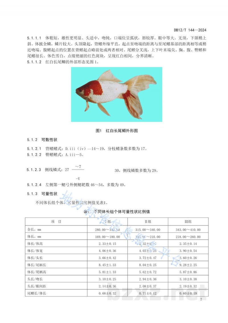 DB12/T 144-2024红白长尾鲫种质鉴定技术规范