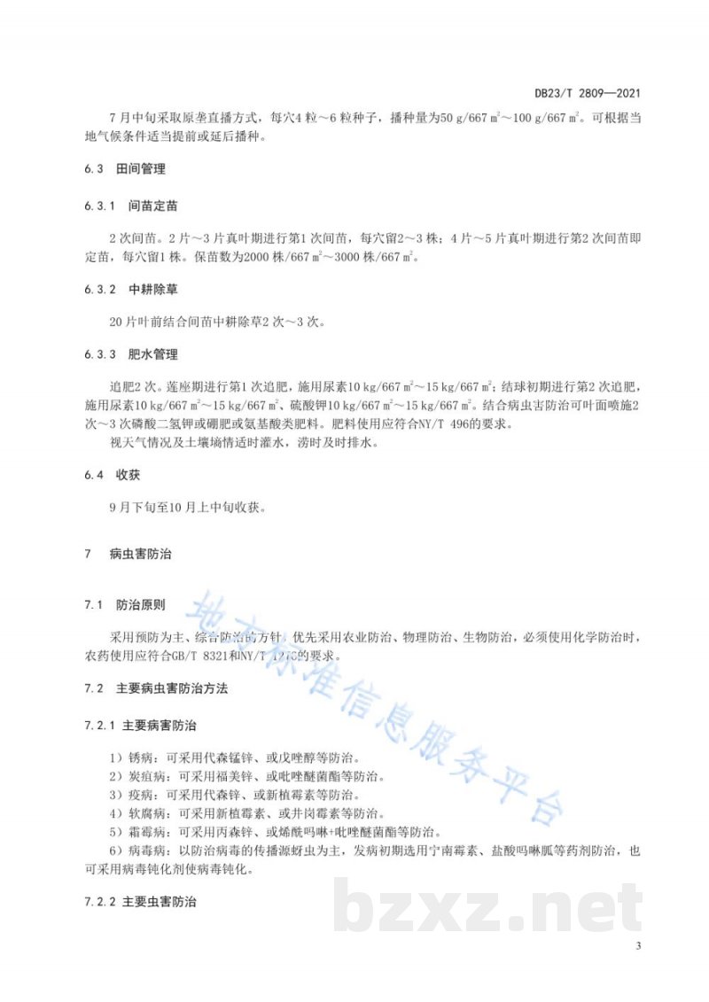 DB23/T 2809-2021菜豆复种秋白菜生产技术规程 DB23/T 2809-2021菜豆复种秋白菜生产技术规程