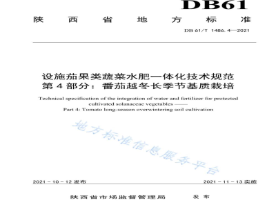 DB61/T 1486.4-2021设施茄果类蔬菜水肥一体化技术规范 第4部分：番茄越冬长季节基质栽培