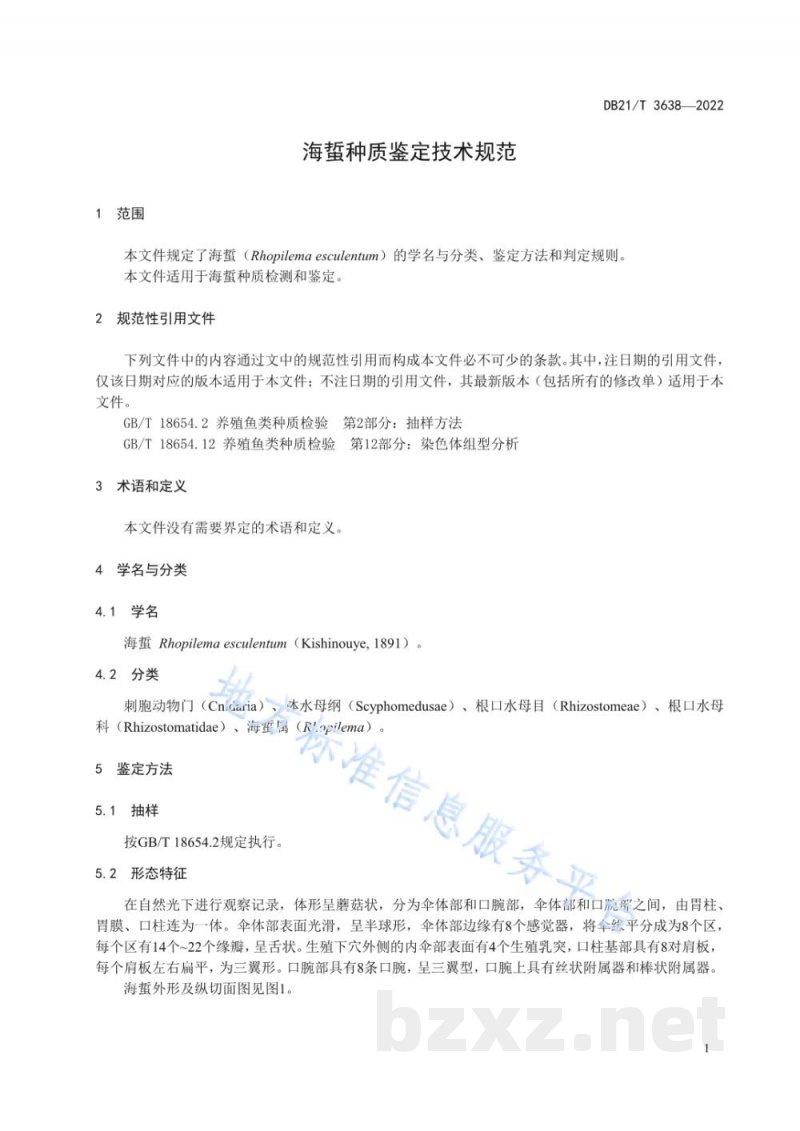 DB21/T 3638-2022海蜇种质鉴定技术规范 DB21/T 3638-2022海蜇种质鉴定技术规范