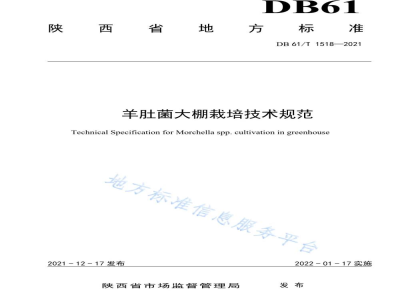 DB61/T 1518-2021羊肚菌大棚栽培技术规范