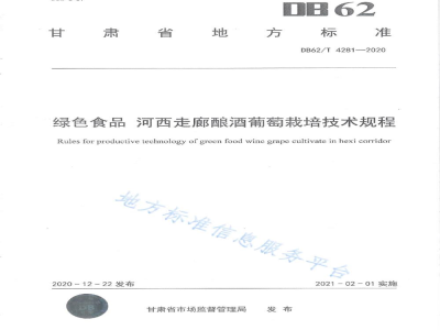 DB62/T 4281-2020绿色食品 河西走廊酿酒葡萄栽培技术规程