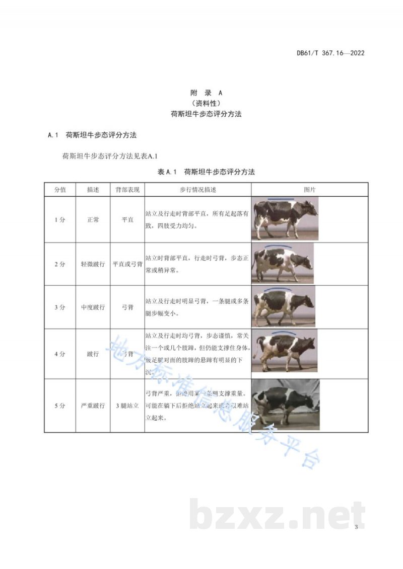 DB61/T 367.16-2022荷斯坦牛生产技术规范 第16部分:肢蹄病防治 DB61/T 367.16-2022荷斯坦牛生产技术规范 第16部分:肢蹄病防治