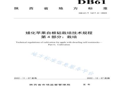 DB61/T 1617.4-2022矮化苹果自根砧栽培技术规程 第4部分：栽培
