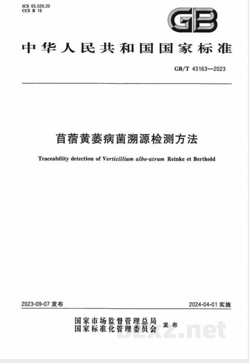 GB/T 43163-2023苜蓿黄萎病菌溯源检测方法 