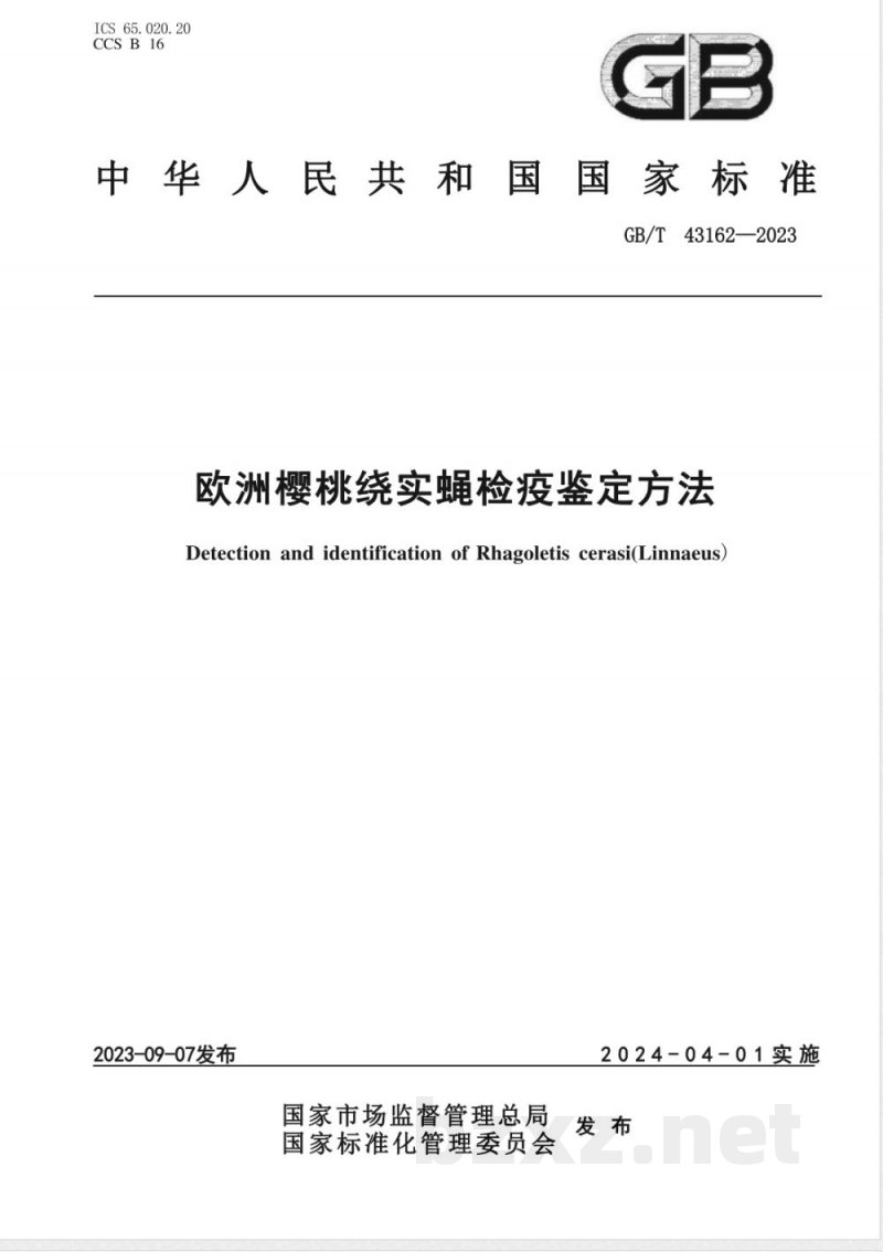 GB/T 43162-2023欧洲樱桃绕实蝇检疫鉴定方法 GB/T 43162-2023欧洲樱桃绕实蝇检疫鉴定方法
