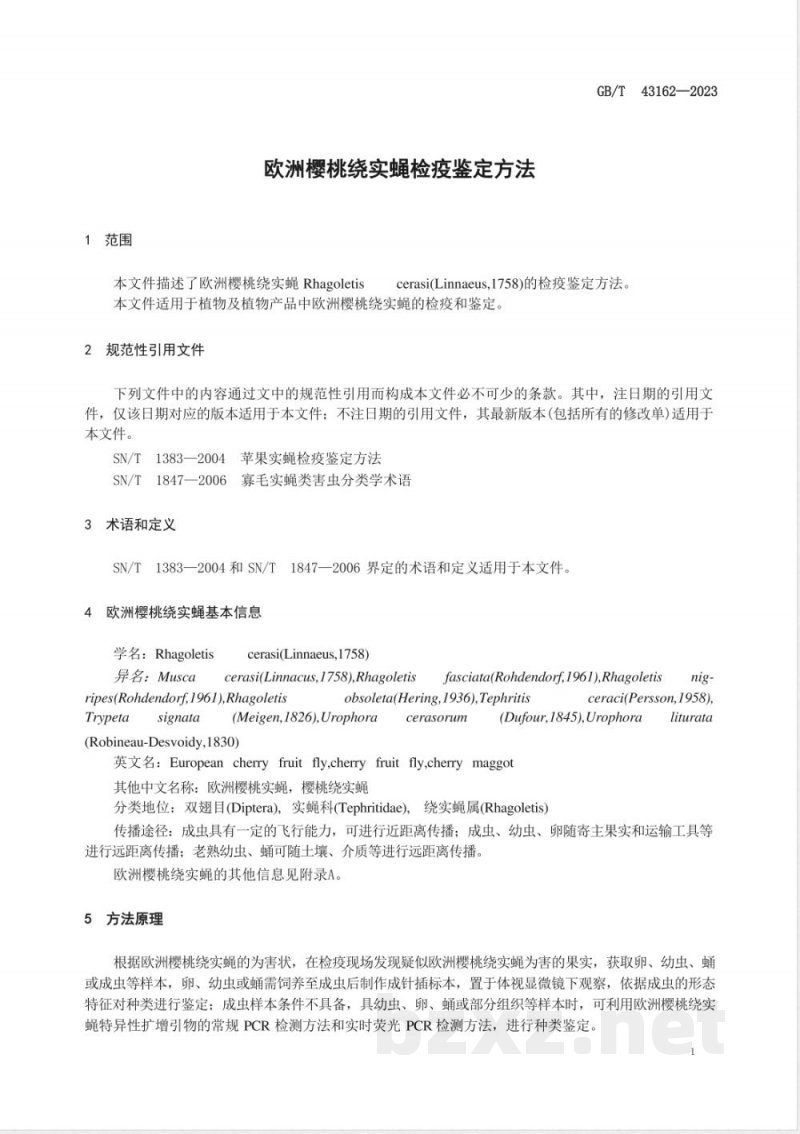 GB/T 43162-2023欧洲樱桃绕实蝇检疫鉴定方法 GB/T 43162-2023欧洲樱桃绕实蝇检疫鉴定方法