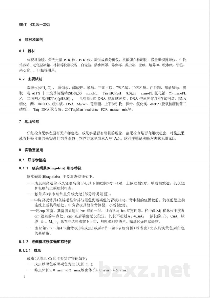 GB/T 43162-2023欧洲樱桃绕实蝇检疫鉴定方法 GB/T 43162-2023欧洲樱桃绕实蝇检疫鉴定方法