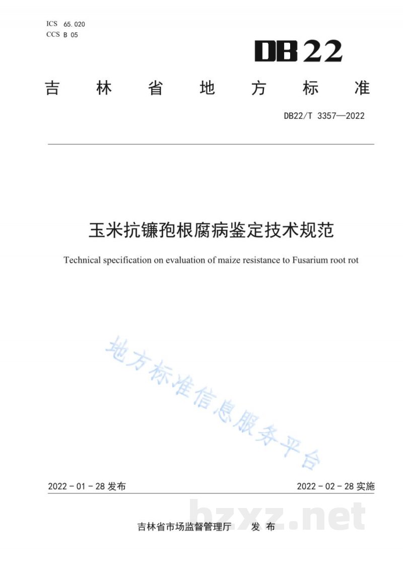 DB22/T 3357-2022玉米抗镰孢菌根腐病鉴定技术规程