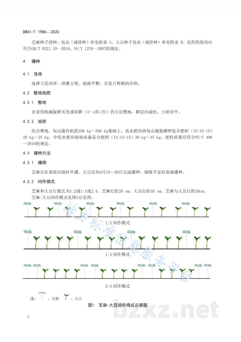 DB41/T 1986-2020芝麻-大豆间作种植技术规程 DB41/T 1986-2020芝麻-大豆间作种植技术规程