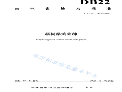 DB22/T 3392-2022杨树桑黄菌种