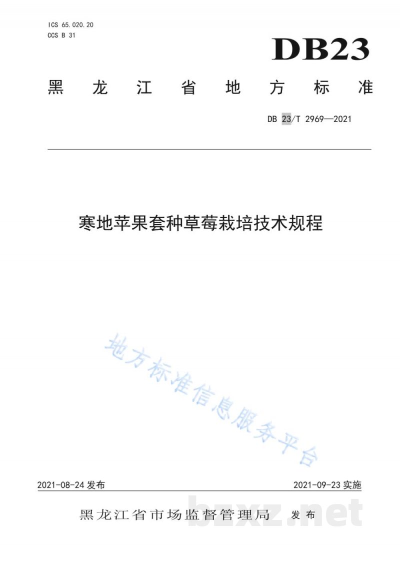 DB23/T 2969-2021寒地苹果套种草莓栽培技术规程 DB23/T 2969-2021寒地苹果套种草莓栽培技术规程