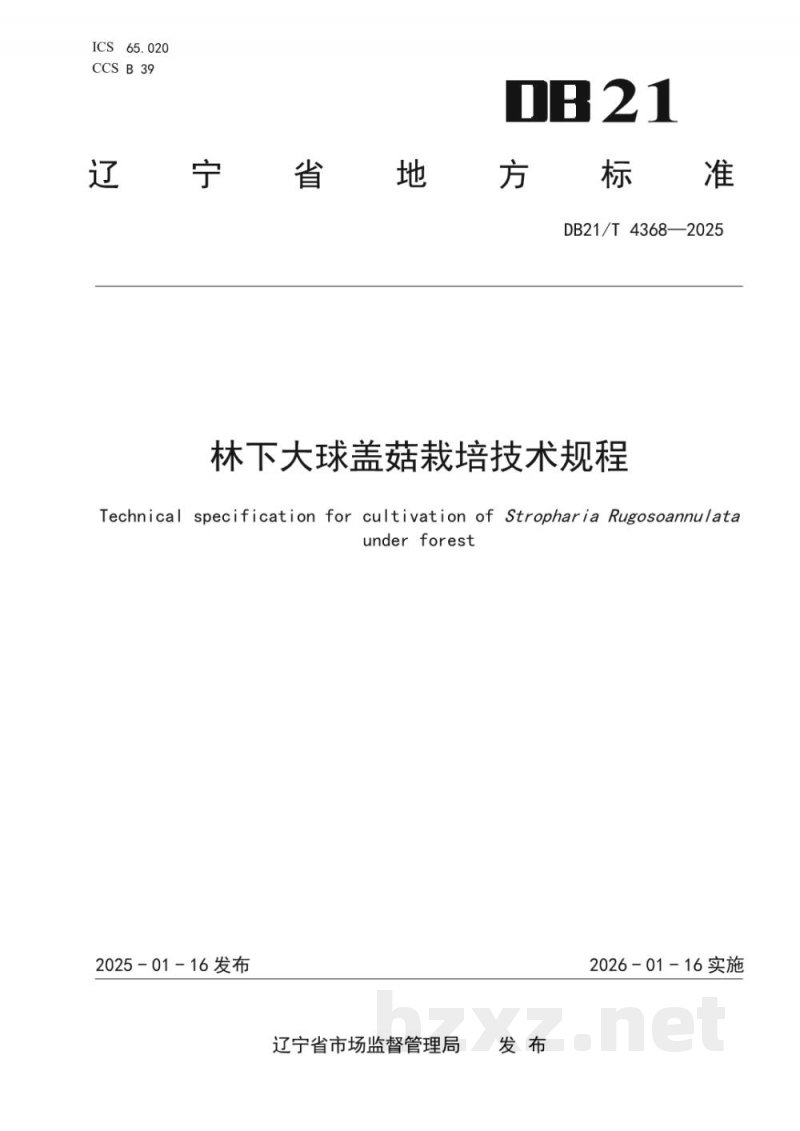 DB21/T 4368-2025林下大球盖菇栽培技术规程