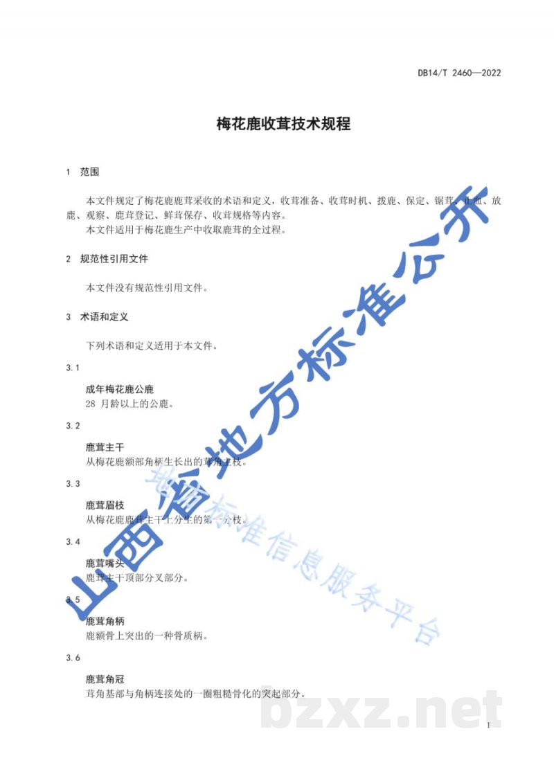 DB14/T 2460-2022梅花鹿收茸技术规程 DB14/T 2460-2022梅花鹿收茸技术规程