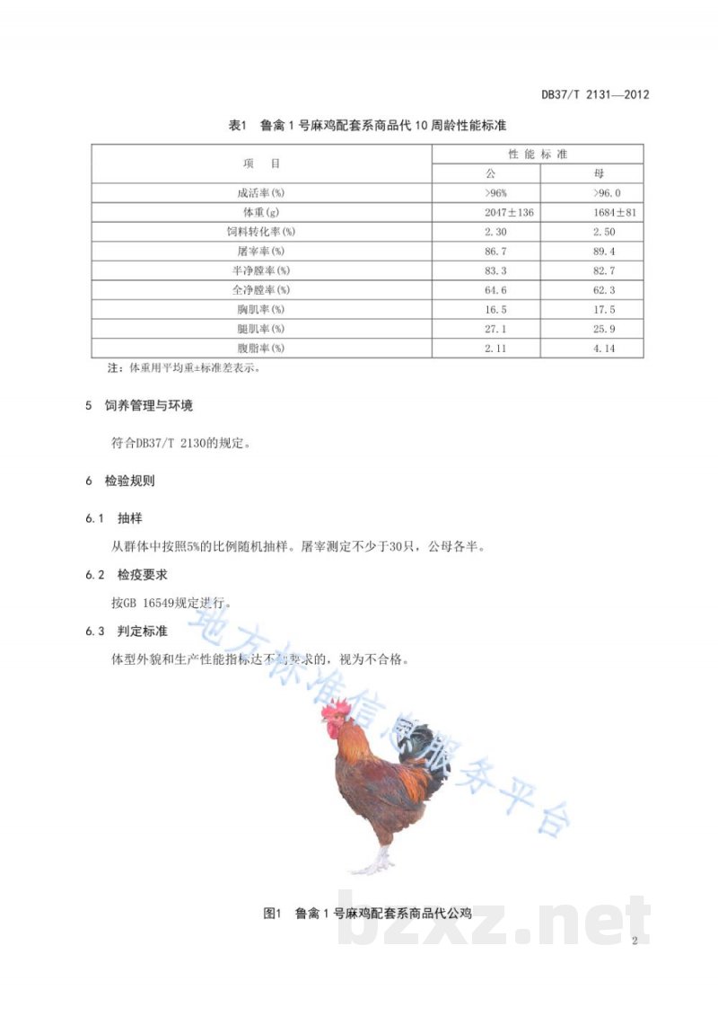 DB37/T 2131-2012鲁禽1号麻鸡配套系商品代 DB37/T 2131-2012鲁禽1号麻鸡配套系商品代