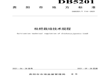 DB5201/T 114-2021枇杷栽培技术规程