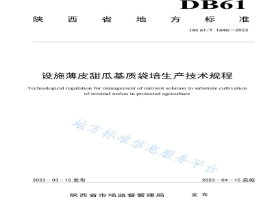 DB61/T 1646-2023设施薄皮甜瓜基质袋培生产技术规程
