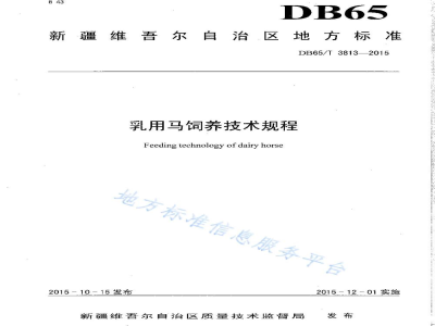 DB65/T 3813-2015乳用马饲养技术规程