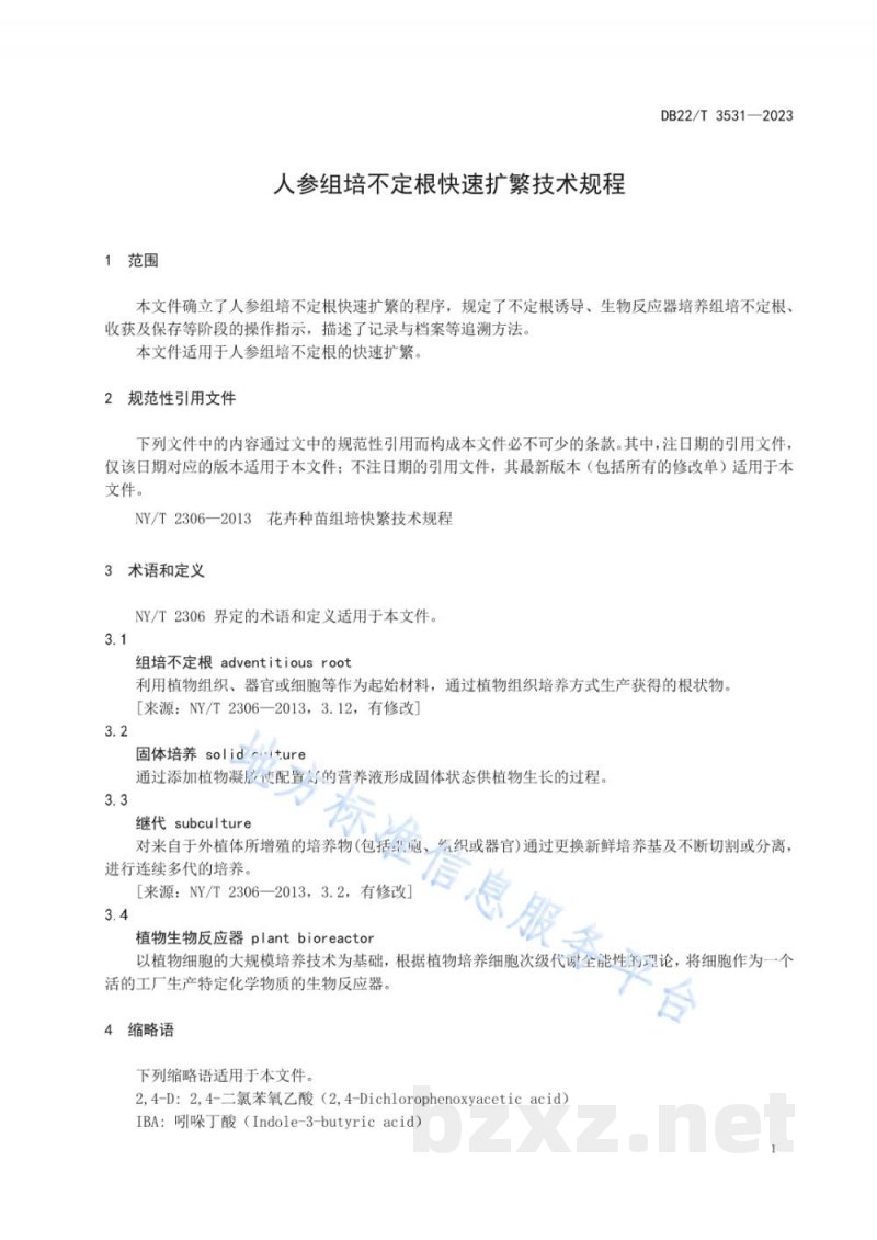 DB22/T 3531-2023人参组培不定根快速扩繁技术规程