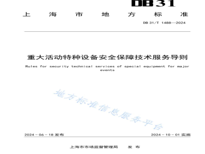 DB31/T 1488-2024重大活动特种设备安全保障技术服务导则