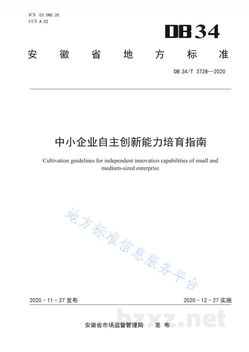DB34/T 3728-2020中小企业自主创新能力培育指南 DB34/T 3728-2020中小企业自主创新能力培育指南