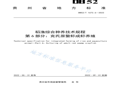 DB52/T 1672.6-2022稻渔综合种养技术规程 第6部分：克氏原螯虾成虾养殖
