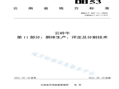 DB53/T 447.11-2022云岭牛 第11部分：胴体生产、评定及分割技术