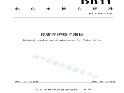 DB11/T 1942-2021银杏养护技术规程