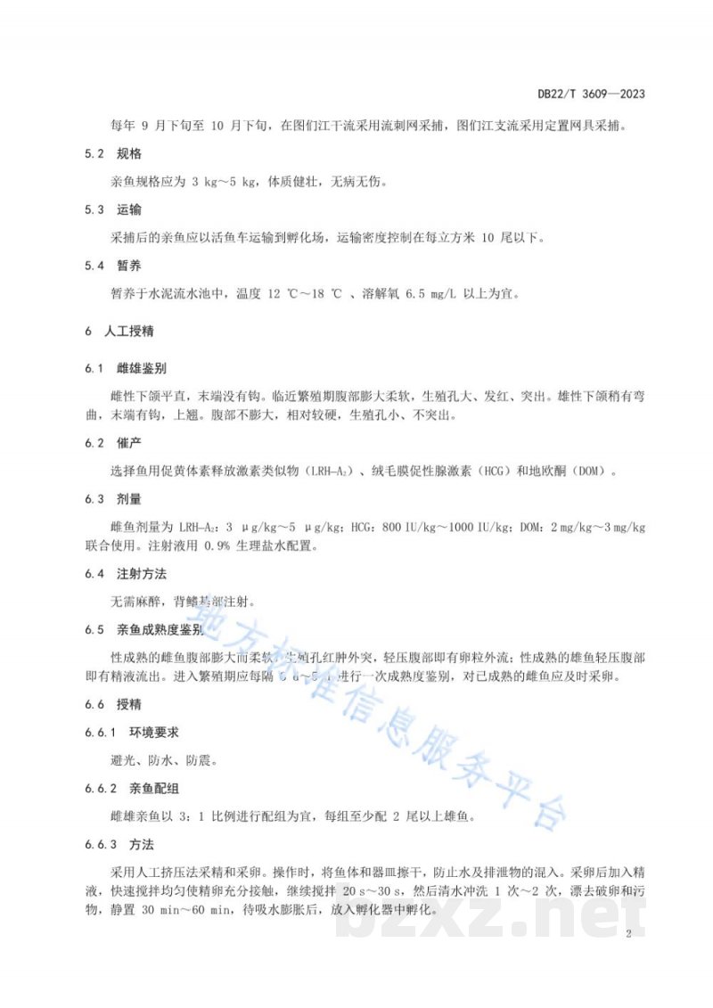 DB22/T 3609-2023大麻哈鱼人工繁殖技术规范 DB22/T 3609-2023大麻哈鱼人工繁殖技术规范