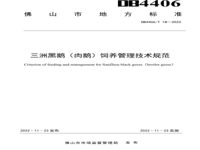 DB4406/T 18-2022三洲黑鹅（肉鹅）饲养管理技术规范