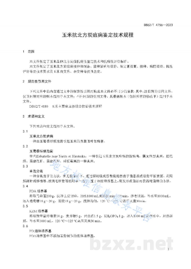DB62/T 4756-2023玉米抗北方炭疽病鉴定技术规程 DB62/T 4756-2023玉米抗北方炭疽病鉴定技术规程
