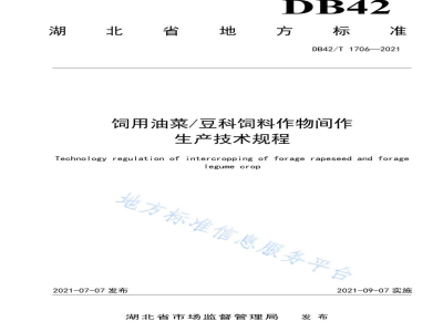 DB42/T 1706-2021饲用油菜/豆科作物间作生产技术规程