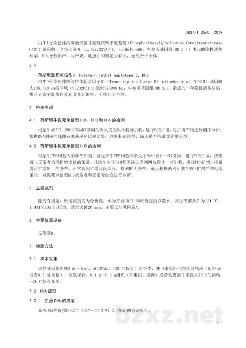 DB37/T 3560-2019荷斯坦牛致死单倍型(HH1、HH3、HH4和HH5)基因检测技术规程 DB37/T 3560-2019荷斯坦牛致死单倍型(HH1、HH3、HH4和HH5)基因检测技术规程