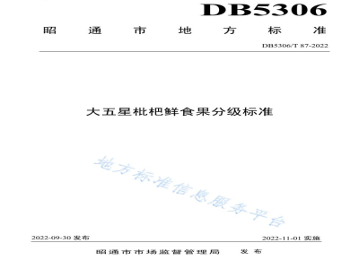 DB5306/T 87-2022大五星枇杷鲜食果分级标准