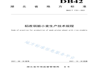 DB42/T 1751-2021稻茬弱筋小麦生产技术规程