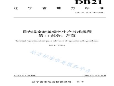 DB21/T 3416.11-2024日光温室蔬菜绿色生产技术规程 第11部分：芹菜
