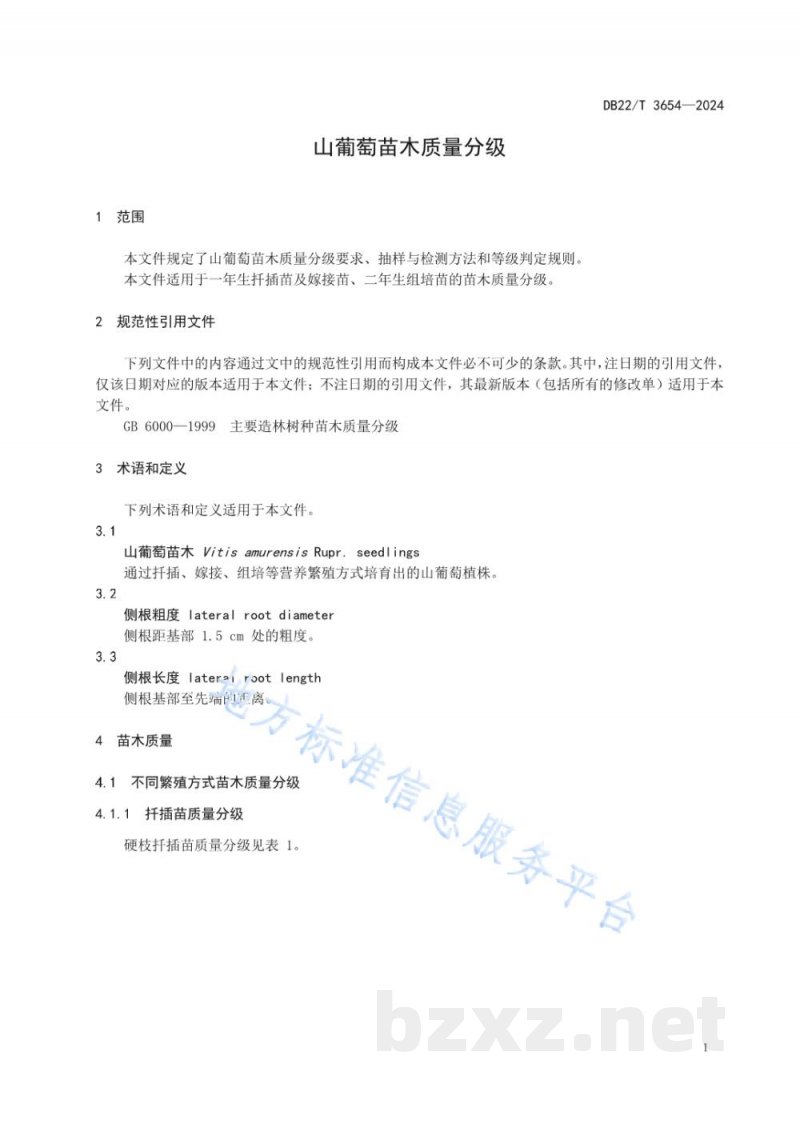 DB22/T 3654-2024山葡萄苗木质量分级