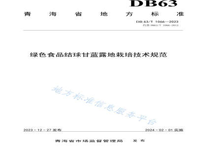 DB63/T 1066-2023绿色食品结球甘蓝露地栽培技术规范