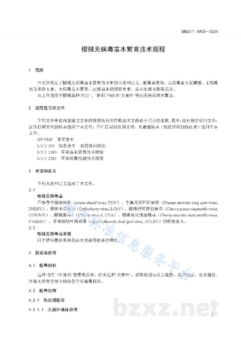 DB62/T 4903-2024小麦品种 临麦39号 DB62/T 4903-2024小麦品种 临麦39号