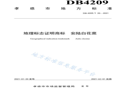 DB4209/T 20-2021地理标志证明商标 安陆白花菜