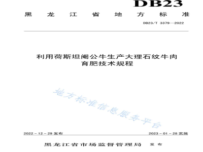 DB23/T 3379-2022利用荷斯坦阉公牛生产大理石纹牛肉育肥技术规程