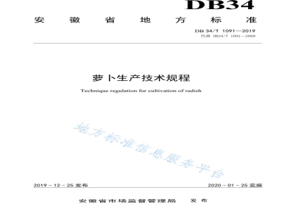 DB34/T 1091-2019萝卜生产技术规程