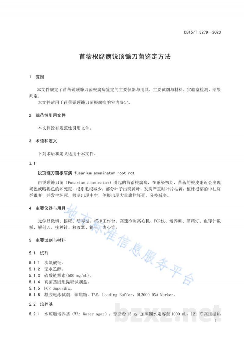 DB15/T 3279-2023苜蓿根腐病锐顶镰刀菌鉴定方法 DB15/T 3279-2023苜蓿根腐病锐顶镰刀菌鉴定方法