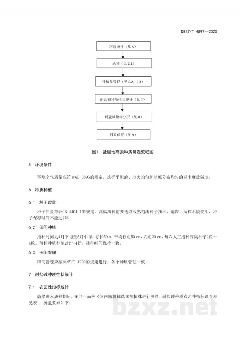 DB37/T 4897-2025盐碱地高粱种质筛选技术规程 DB37/T 4897-2025盐碱地高粱种质筛选技术规程